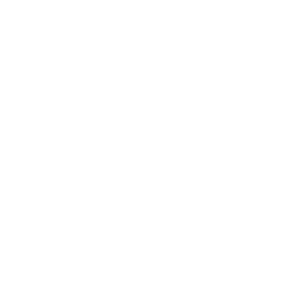 STC EMEA Logo